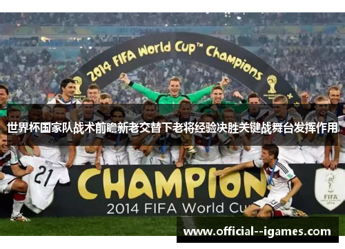 世界杯国家队战术前瞻新老交替下老将经验决胜关键战舞台发挥作用